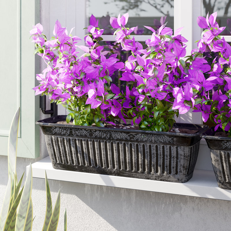 Marlow Home Co. Yasmine Plastic Planter Box & Reviews Wayfair.co.uk